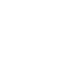 icon_policy