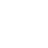 icon_policy